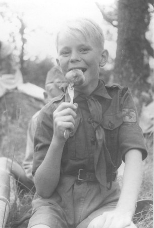 Kokt potatis i skogen med blåvingarna.